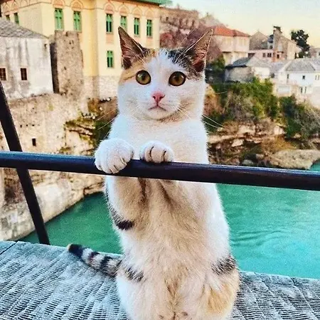 Galaxy Near Old Brige 모스타르