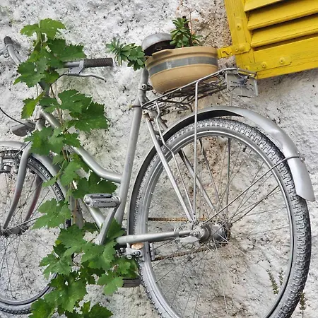 아파트 Galaxy Near Old Brige 모스타르